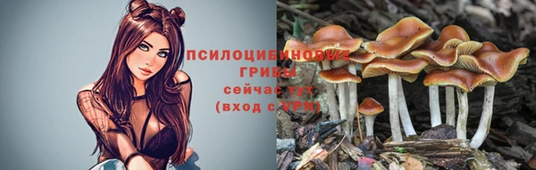 винт Богданович