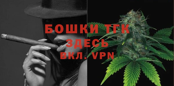 индика Нефтегорск