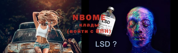 индика Нефтегорск