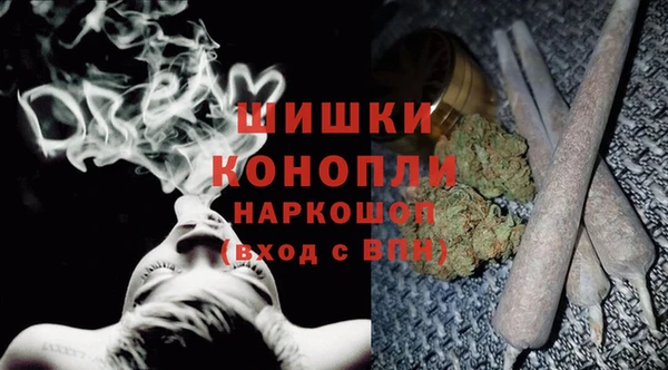 индика Нефтегорск