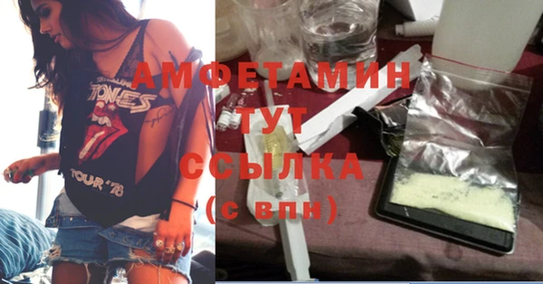 индика Нефтегорск