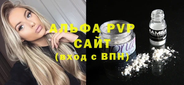 индика Нефтегорск