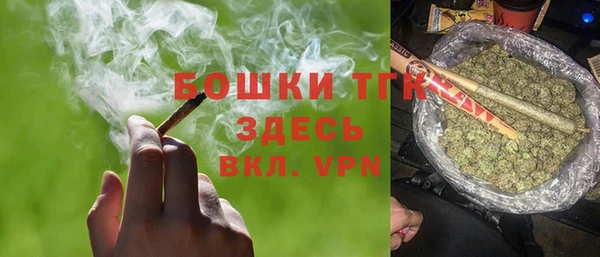 индика Нефтегорск