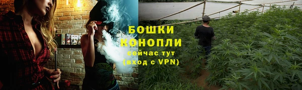 spice Нея