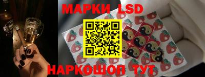 индика Дубна