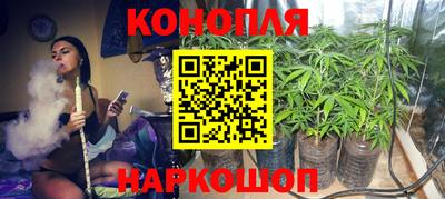 дмт Донской