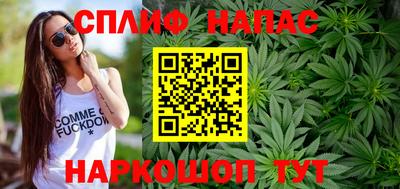 индика Дубна