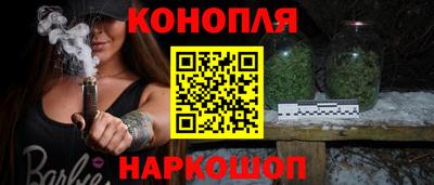 индика Дубна