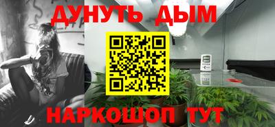 индика Дубна