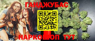 индика Дубна