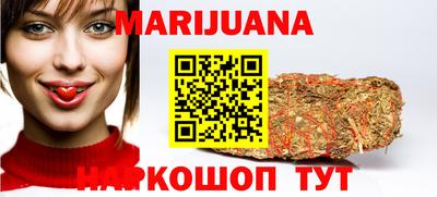 индика Дубна