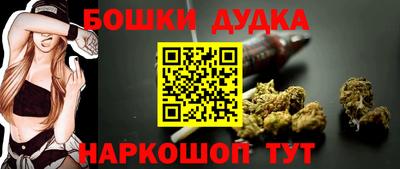 индика Дубна