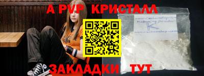 индика Дубна