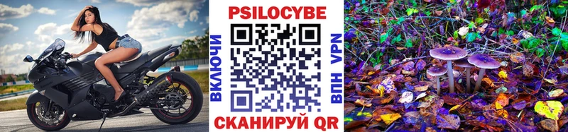 Псилоцибиновые грибы Cubensis  Конаково 