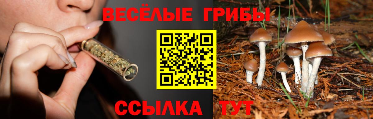 Псилоцибиновые грибы Cubensis  Вход с VPN  Конаково  Галлюциногенные грибы Magic Shrooms 